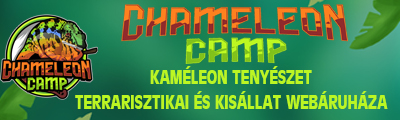 chameleoncamp.unas.hu