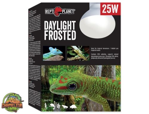 Repti Planet - Daylight frosted melegítő izzó - 25W