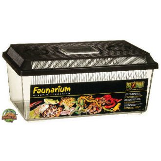   Exo Terra Faunarium Medium - Ideiglenes (téglalap) terráriumdoboz - 36x21x16cm