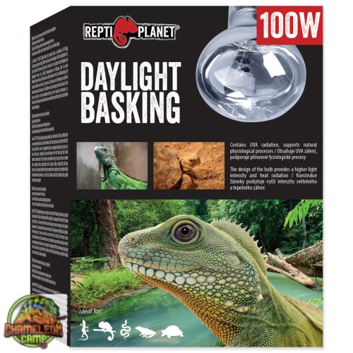 Repti Planet - Daylight basking - természetes nappali fényt sugárzó melegítő izzó - (100W)