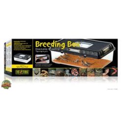   Exo-Terra Breeding Box Large - Műanyag tenyésztő doboz (L) - 41,5 x 26,5 x 14,8 cm