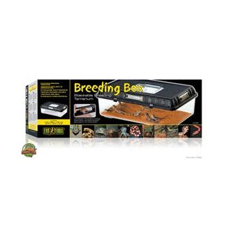   Exo Terra Breeding Box Large - Műanyag tenyésztő doboz (L) - 41,5 x 26,5 x 14,8 cm