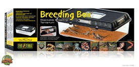 Exo-Terra Breeding Box Large - Műanyag tenyésztő doboz (L) - 41,5 x 26,5 x 14,8 cm