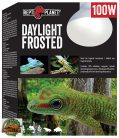 Repti Planet - Daylight frosted melegítő izzó - 100W