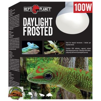 Repti Planet - Daylight frosted melegítő izzó - 100W