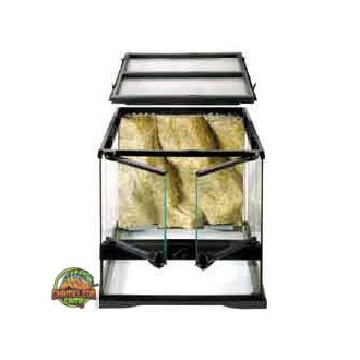   Exo-Terra Mini Wide Terrarium - Dekoratív kivitelű üvegterrárium (30x30x30cm)