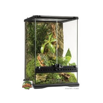   Exo-Terra Mini Tall Terrarium - Dekoratív kivitelű üvegterrárium (30x30x45cm)