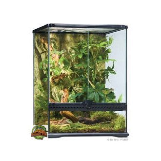   Exo-Terra Small Tall Terrarium - Dekoratív kivitelű üvegterrárium (45x45x60cm)