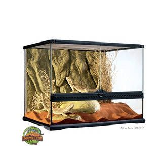   Exo-Terra Medium Wide Terrarium - Dekoratív kivitelű üvegterrárium (60x45x45cm)