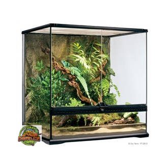   Exo-Terra Medium Tall Terrarium - Dekoratív kivitelű üvegterrárium (60x45x60cm)