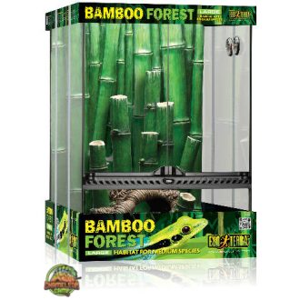   Exo-Terra Bamboo Forrest terrárium Small - Dekoratív kivitelű üvegterrárium (30x30x45cm)
