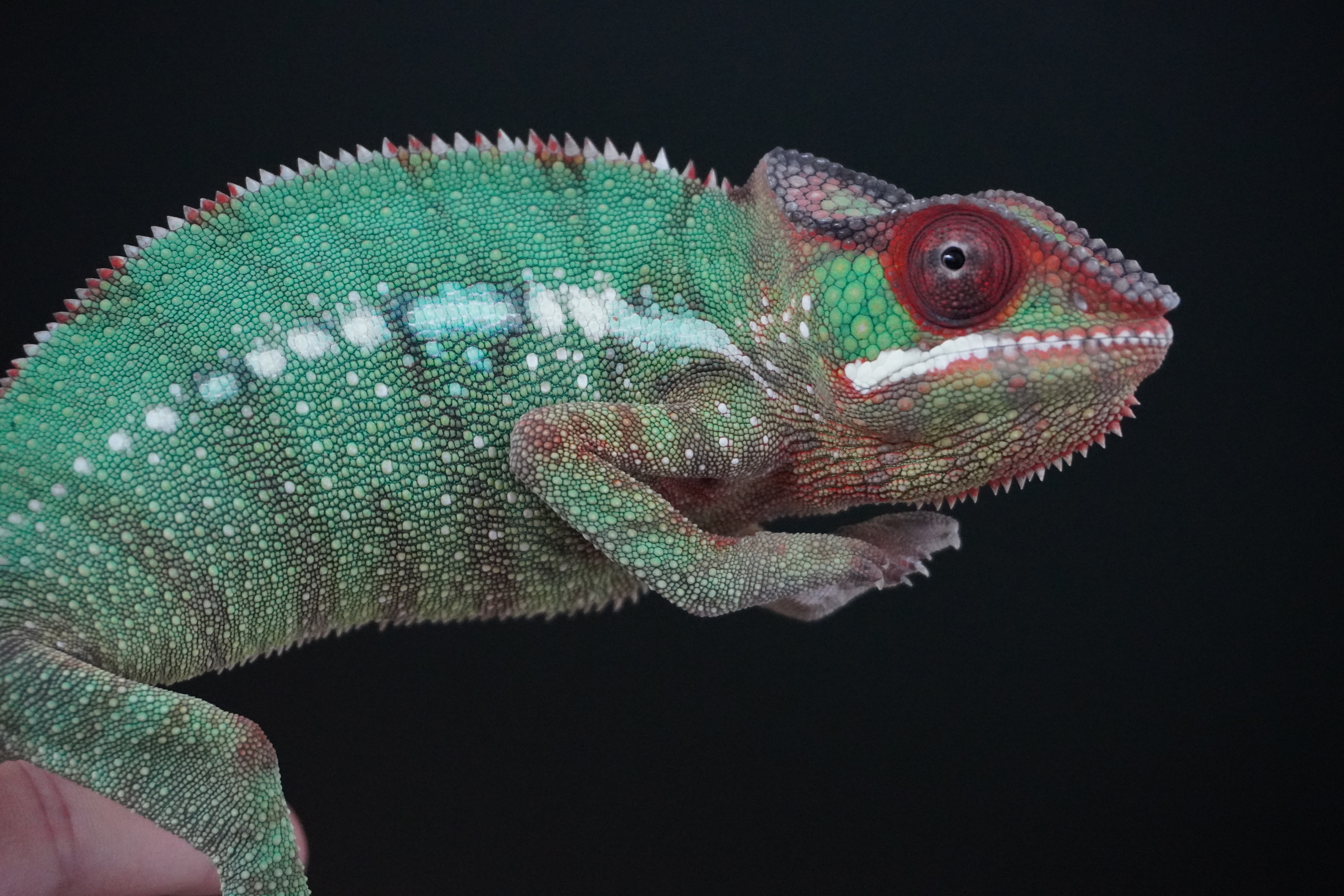 Nosy Mitsio - A1 - ÚJ!