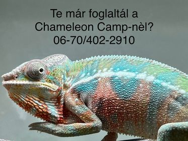 Kaméleon Foglalás Chameleon Camp